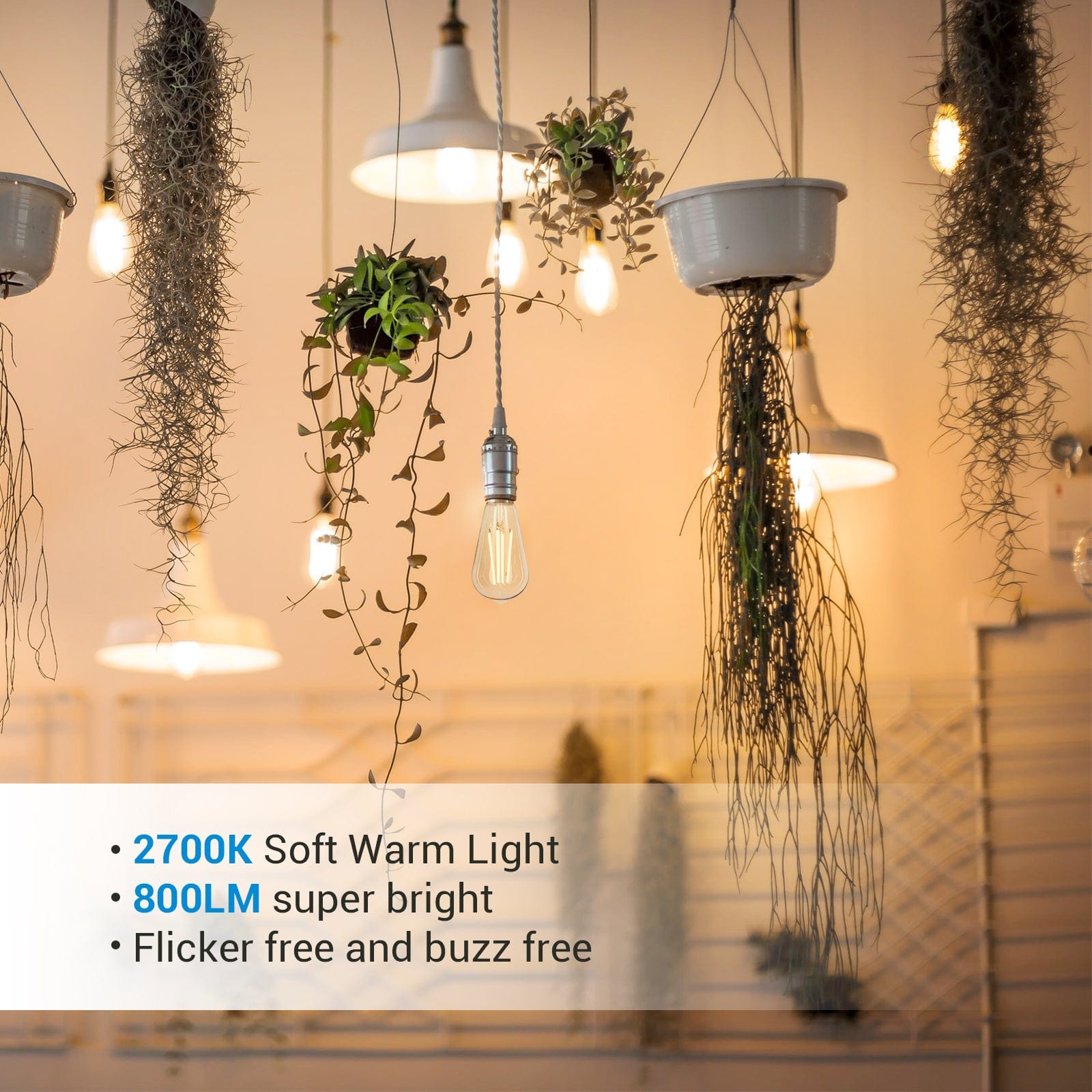 60 Watt Equivalent ST64 E26/Medium (Standard) Dimmable 2700K LED Bulb (Set of 6)-HDST64A