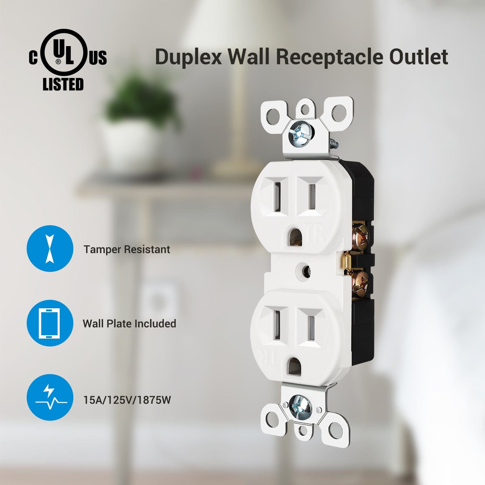 DEWENWILS 10-Pack Duplex Receptacle Outlet, Standard Wall Outlet, 15Amp/125V, Tamper Resistant, Wall Plates Included, White-HRWS02J