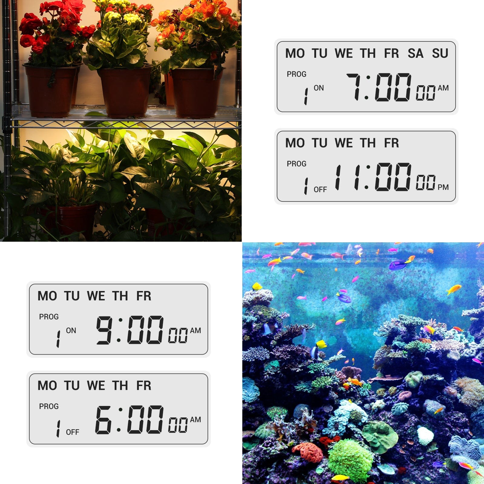 A power strip with a timer is ideal for providing timed lighting for aquariums and plants
