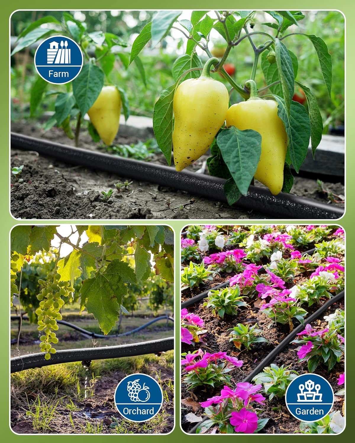 Soaker hoses are suitable for any plants, vegetables, and fruits found in farms, orchards, and gardens