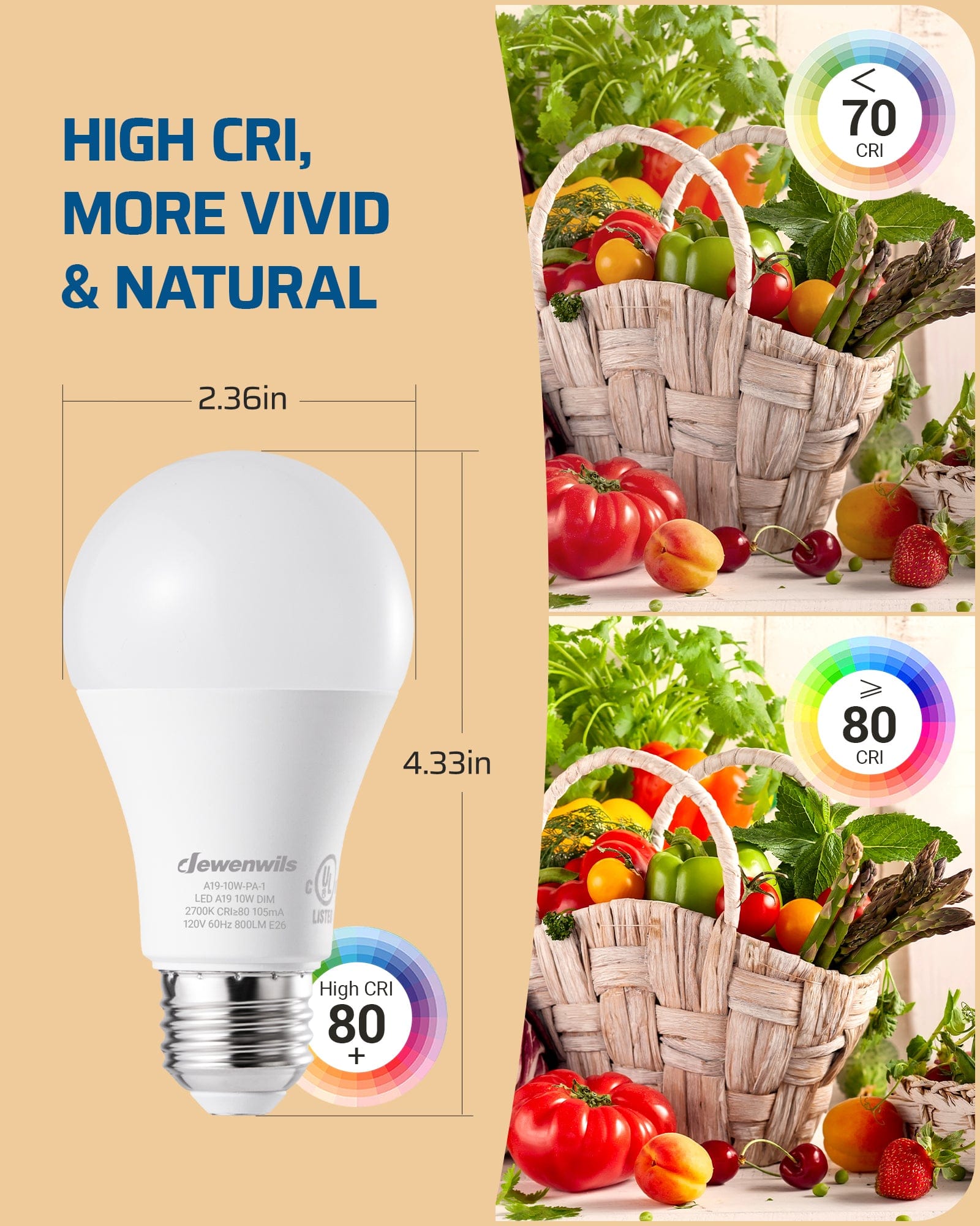 Dimmable Light Bulb dimensions