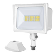 LED Flood Light