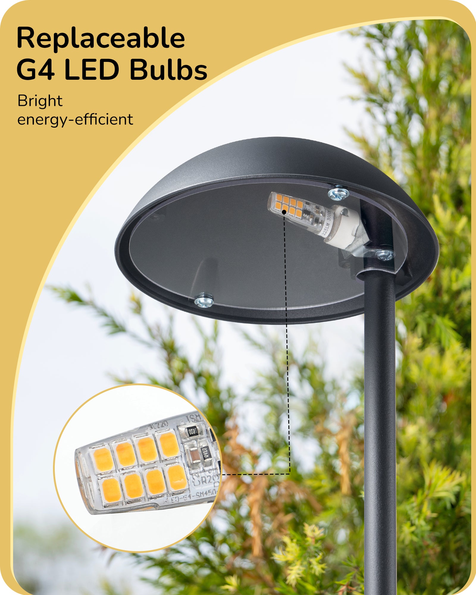 Low Voltage Landscape Lighting: Replaceable G4 LED bulbs provide bright, energy-efficient illumination for outdoor spaces.